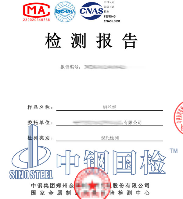 鋼絲繩檢測報告圖片