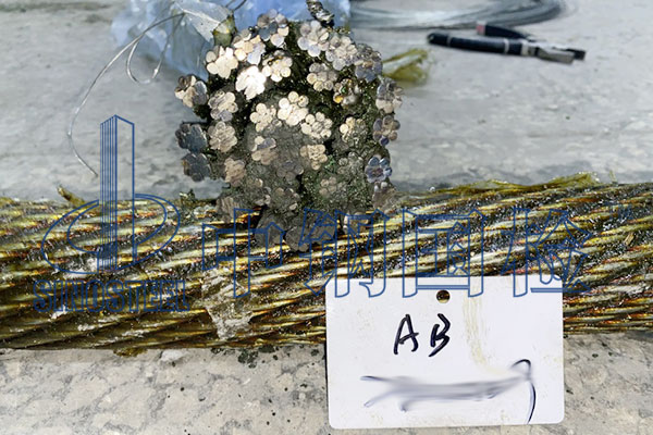 鋼絲繩檢測(cè)